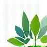 GreenBridge College logo